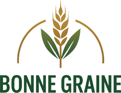 file_00000000341461f5854d741046855e5f